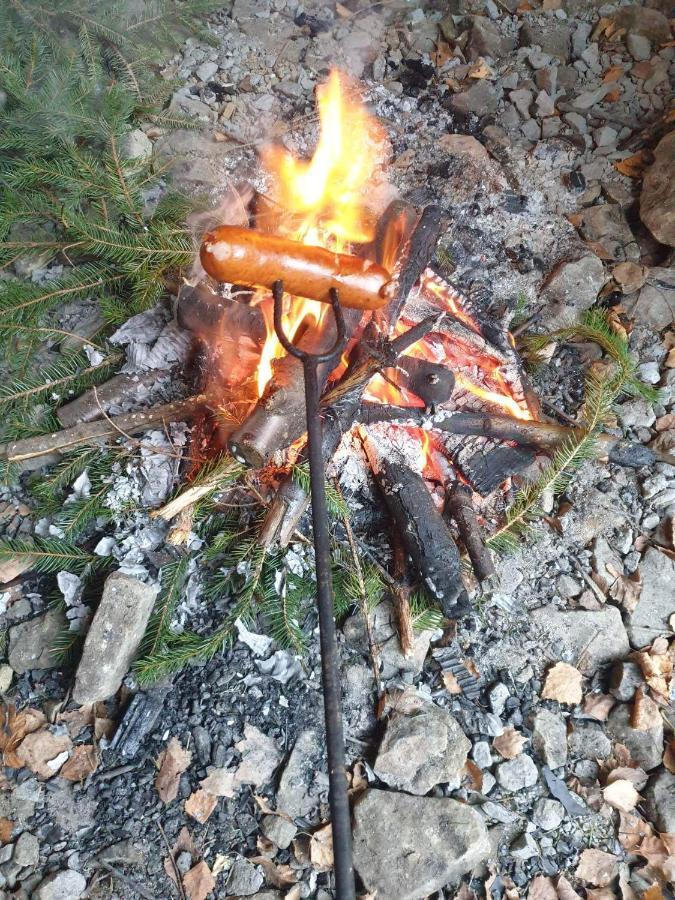 Swierkowy Zakatek U Bacy Wieprz  Zewnętrze zdjęcie